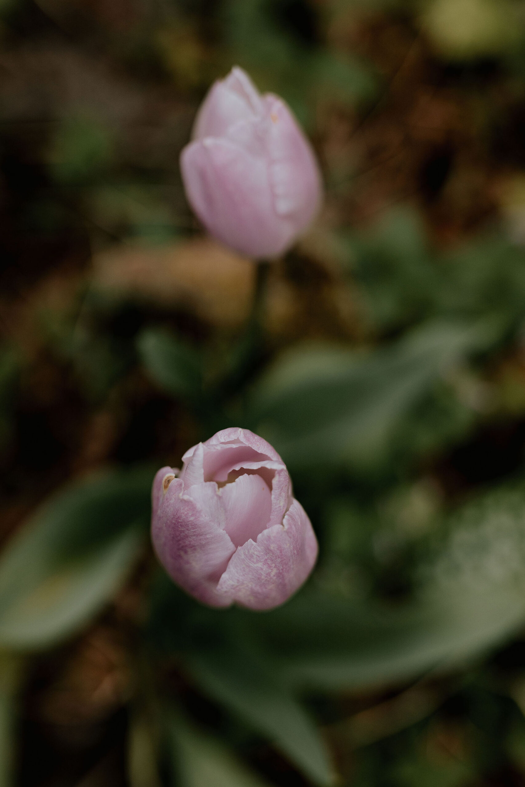 picture of steffi von brunner, she sits in easy pose on the ground and looks straight to the camera. She wears a trousers and a wrap top in a black and white flower print and wears pink transluscent glasses